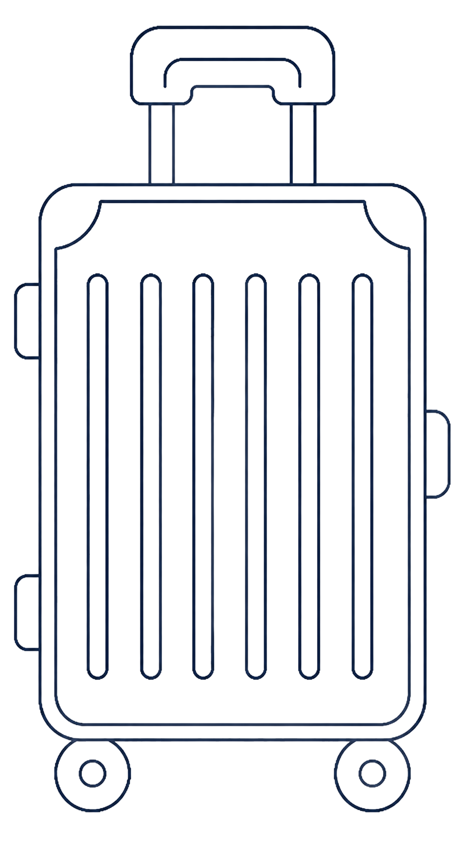 Large luggage