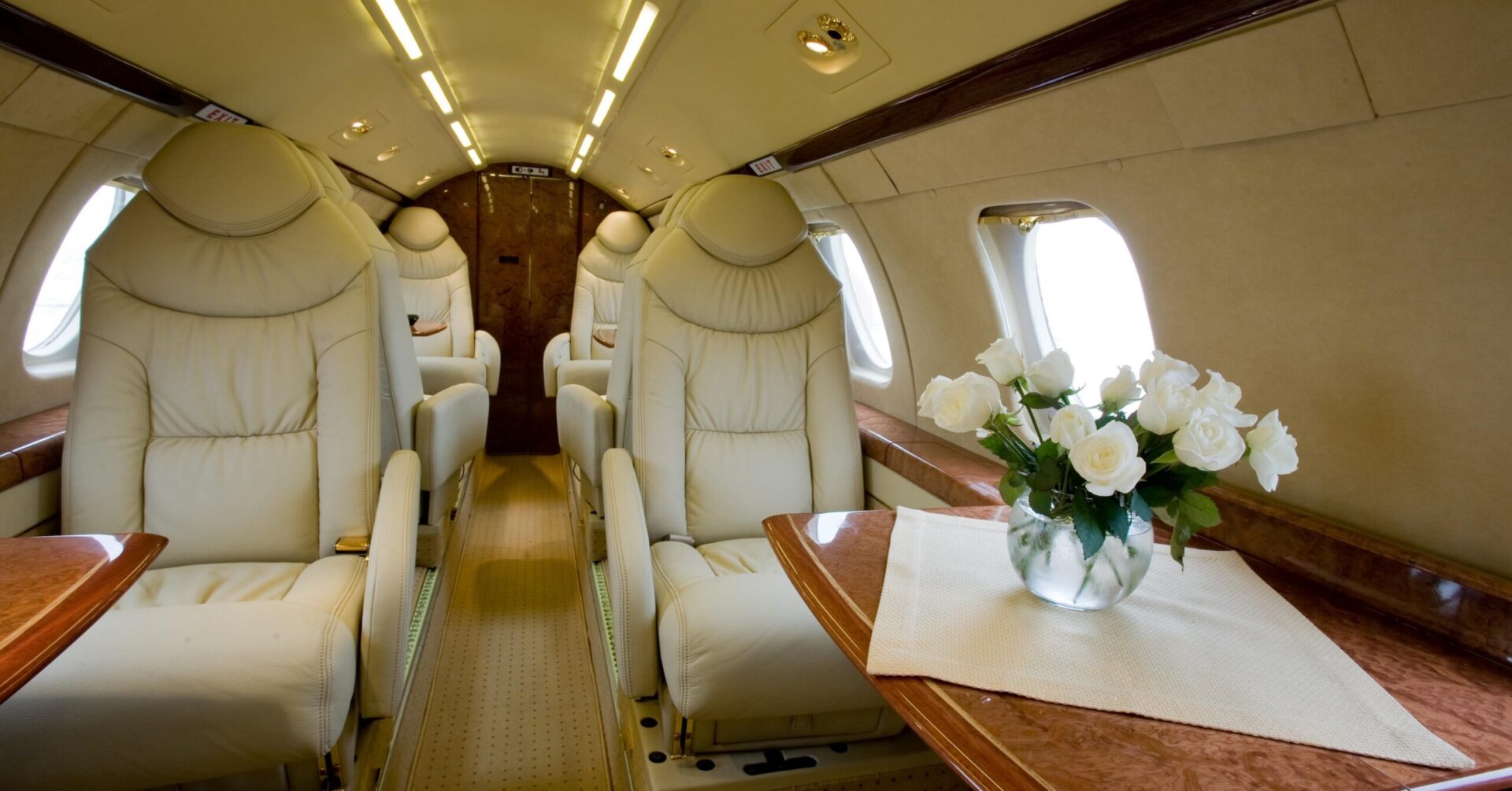 Luxury interior in bright colors of genuine leather in the business jet with flowers in cabin