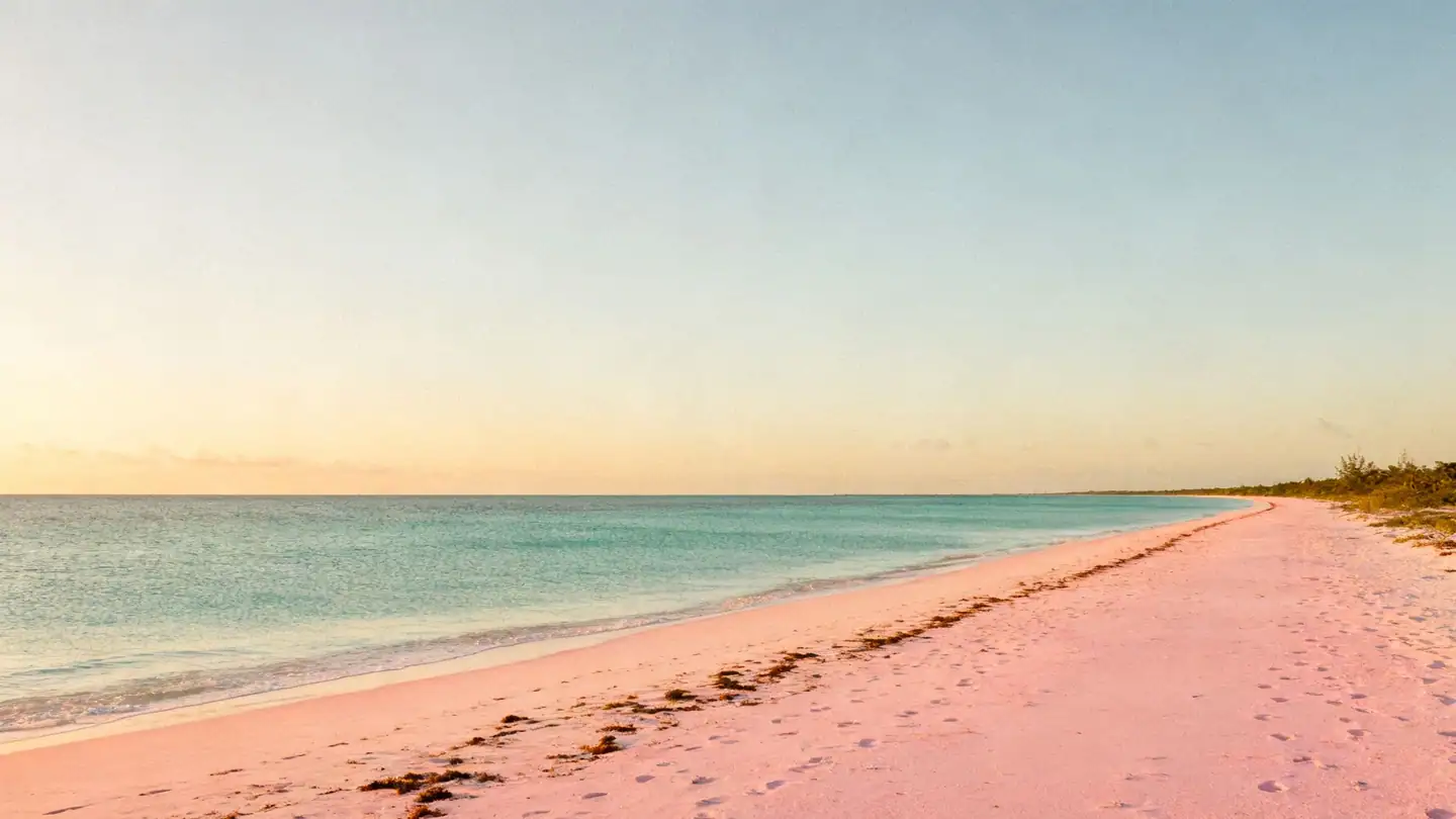 Eleuthera, Bahamas: a long empty beach with faint pink sand and clear turquoise water in golden-hour light