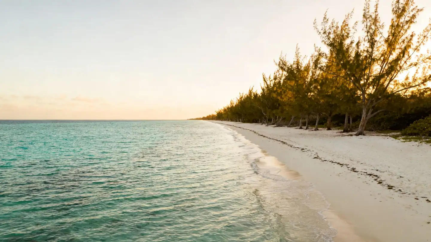 Grand Cayman: a long white-sand beach with very clear turquoise water and casuarina trees in golden-hour light