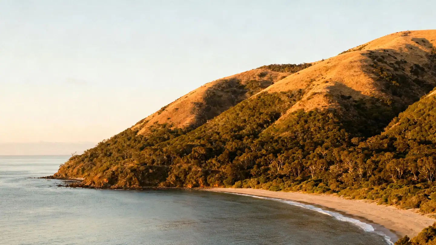 The Guanacaste coast of Costa Rica: a golden-sand bay with green dry-forest hills and calm Pacific water at sunset