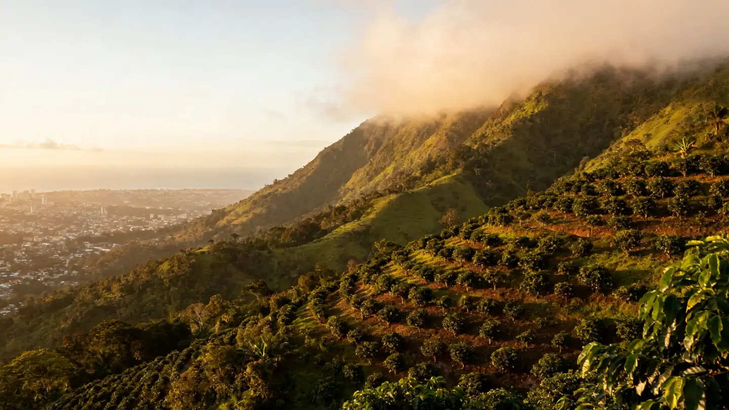 Jamaica's Blue Mountains: misty green ridges and coffee terraces above Kingston in golden-hour light