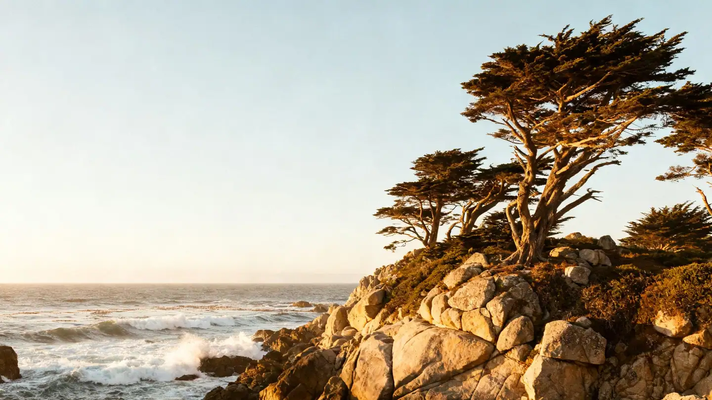 The Monterey Peninsula coast: wind-shaped cypress trees on granite rocks above crashing Pacific surf in golden-hour light