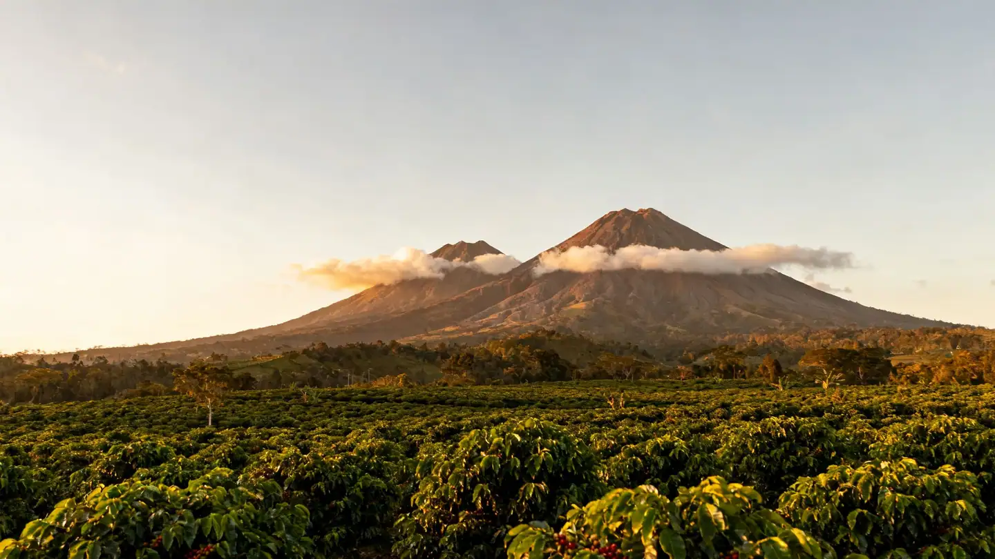 Costa Rica's Central Valley: green coffee plantations below volcanoes and clouds in golden-hour light