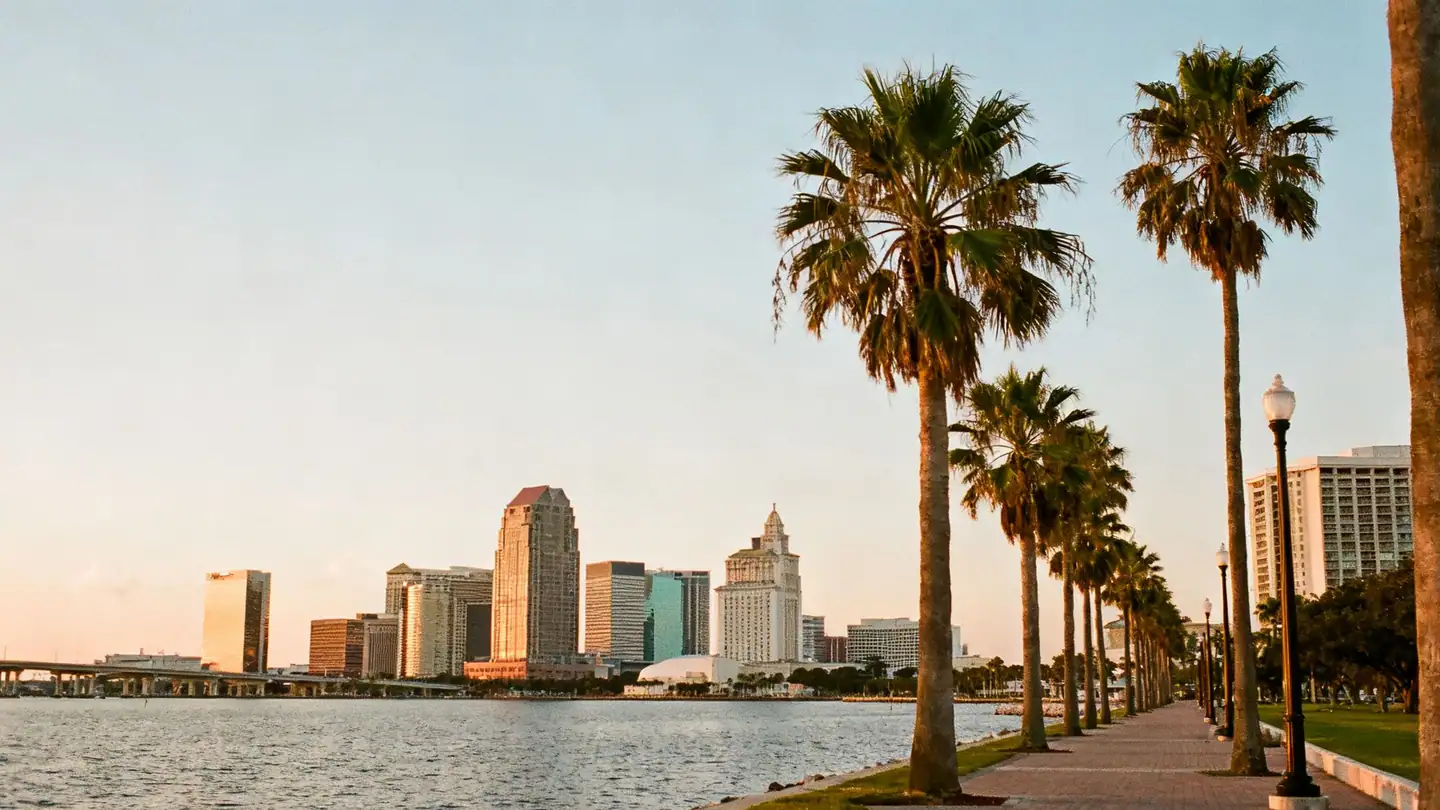 The Tampa skyline across Hillsborough Bay with palm trees on the waterfront promenade at sunset