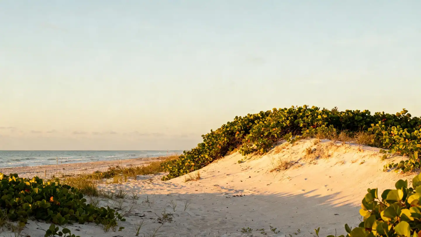Vero Beach: a quiet Atlantic beach with sea grape and dunes in golden-hour light